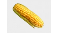 Kukoricázzunk