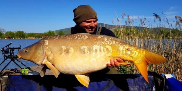 Pontyhorgászat Tokajban - Rod Hutchinson csalilegendák bevetésen