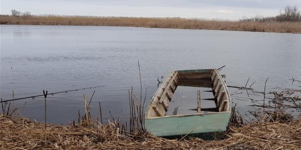 Tisza-tavon egyszerűen - horgászat feederbottal