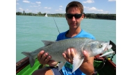 Örömpeca a Balatonon