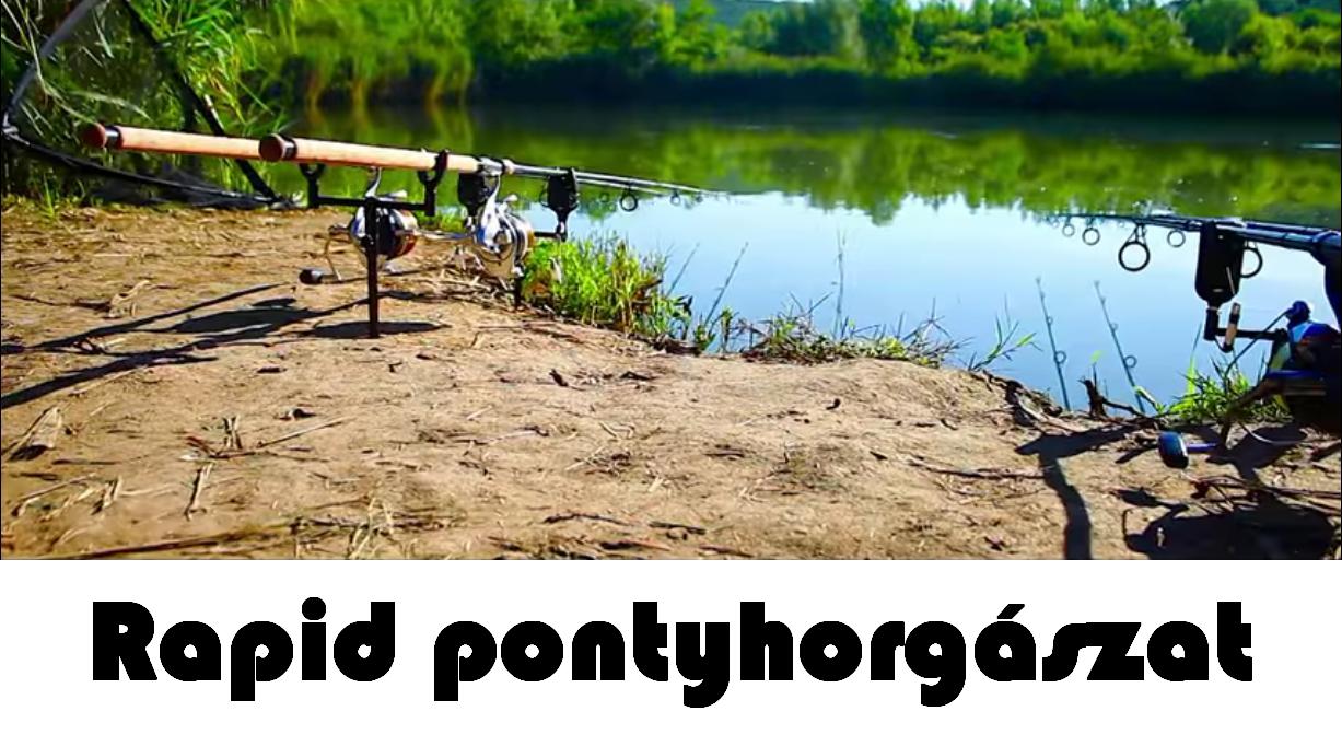 Gyorsan dolgozó etetési megoldások rövid pontyhorgászatokhoz