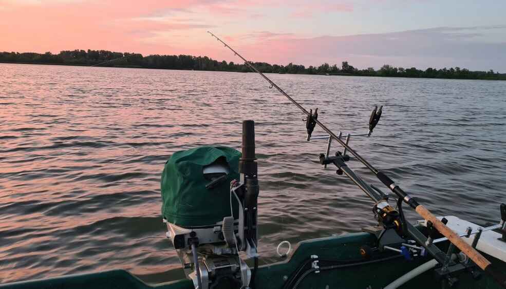 Harcsák a Tisza-tavon