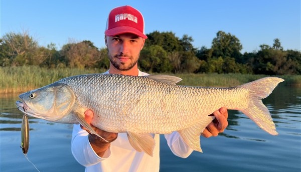 Minden, ami Rapala - nyílt nap 06.13 budai üzlet