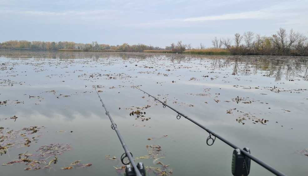 Október végi horgászat a Tisza-tavon...
