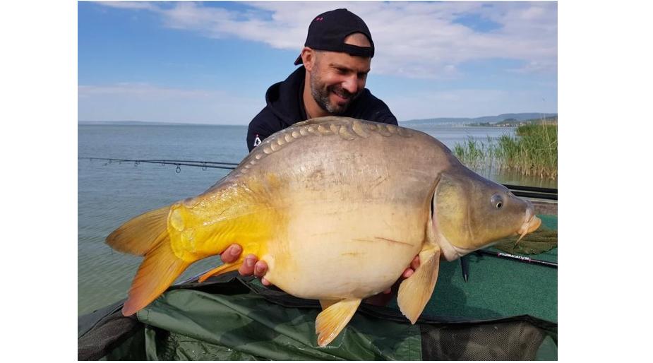 Pontyok a Balatonból...