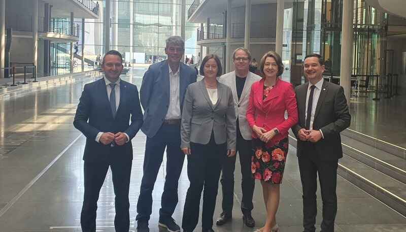 4 millió eurós projekt indult a kormoránok ellen
