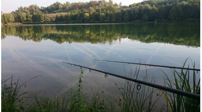 Wild Carp Lake – A természet ölében