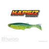 KAPSIZ 4