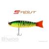 STROUT 3.5
