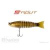 STROUT 3.5