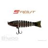STROUT 3.5