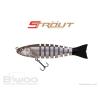 STROUT 3.5