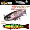 STROUT 5.5
