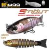 STROUT 5.5