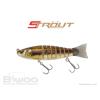 STROUT 5.5