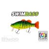 SWIMBASS 6