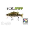 SWIMBASS 6