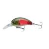 Tournament Baby Crank 35F-DR LR