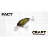 CRAFT 4.7cm 6.5gr #59 SKELETON CHART
