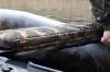 Camolite Boat Seat - Camo színű párna csónakpadhoz