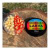 Larva Air wafters two tone S BCN