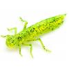 Dragonfly 1.2