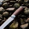 Järvi Annual knife 2026 - filéző kés 190mm pengével