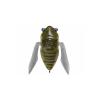 SIGLETT 36.5mm 5.25gr FF AVOCADO