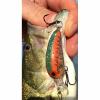 Deep Tiny N-GC – Spring Craw 3,8cm/3,5g wobbler