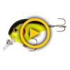 Fat Boy – Chartreuse Black 5cm/12,4g wobbler