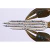DOLIVE CRAW 2