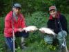 Shallow Shad Rap 5cm/5g Silver SSR05S