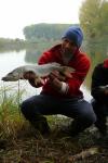 Jointed 11cm/9g Firetiger J11FT