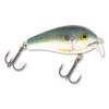 SHALLOW FAT RAP 05 Shad- SFR05SD
