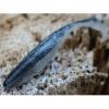 Power Shad Dual 10 cm Black Silver 8 db, plasztik csali