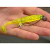 offset worm horog 4/0-ás