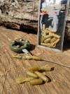 Screw Lock Lead Clip SL - csavaros ólomkapocs - barna - 10 darab/csomag