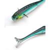 LITTLE SWEEPER FISH SKIN 3