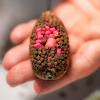 Premium all in B1 pellet box ace lobworm (csaliféreg) 400g