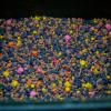 PVA-Spod mix 800g 3-5-8 mm halas