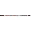 Gnt Comp.Speed Alborella 250 Fishing Rod + Spare Part