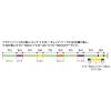 AVANI EGING LS4 PE TIP RUN 200m #0.4 8lbs Marking Fluo Green