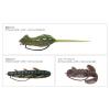 OFFSET HOROG MASTER POWER BAIT FINESS #3/0