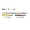 PE 8 MARKING EDITION 150m #0.6 0.128mm 13lb Vivid 5 Color