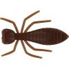 Termite 3,2cm/8db Brown/Banana