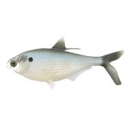 13 Fishing BAMF Shad 8in. 20,3cm/85g - Silver Shad