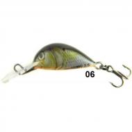 BONITO Klen 2,5S-06 wobbler