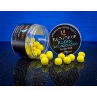 Bait Bait Fluo Pop Up 14mm - Rodin