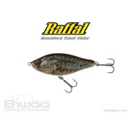 Biwaa RAFFAL GLIDER 6