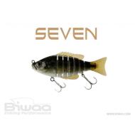 Biwaa SEVEN S6